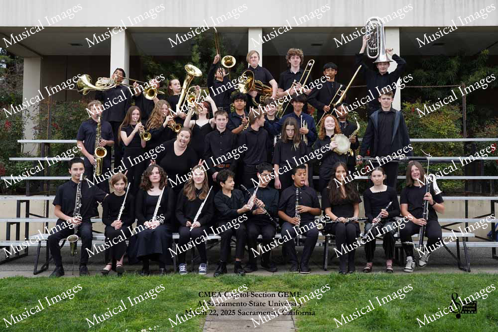 Musical Images